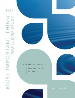 Kniha The Most Important Thing You'll Ever Study, Volume 3: A Survey of the Bible: New Testament, Vol. 3 Starr Meade