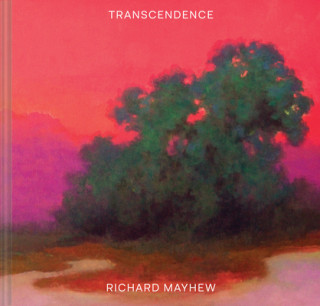 Kniha Transcendence Richard Mayhew