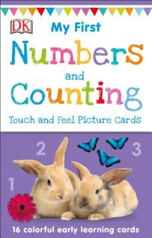 Játék My First Touch and Feel Picture Cards: Numbers and Counting DK