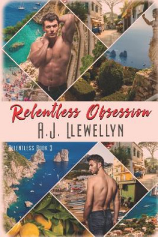 Buch Relentless Obsession A. J. Llewellyn