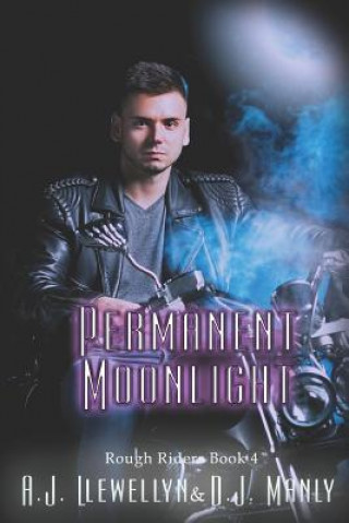 Book Permanent Moonlight D. J. Manly