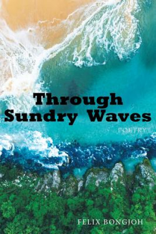 Book Through Sundry Waves Felix Bongjoh