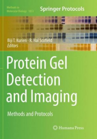 Könyv Protein Gel Detection and Imaging Biji T. Kurien