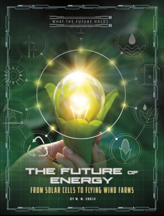 Kniha The Future of Energy: From Solar Cells to Flying Wind Farms M. M. Eboch