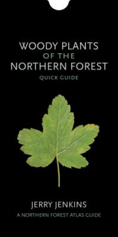 Kniha Woody Plants of the Northern Forest: Quick Guide Jerry Jenkins