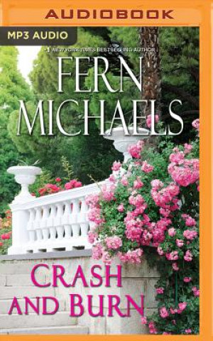 Digital Crash and Burn Fern Michaels