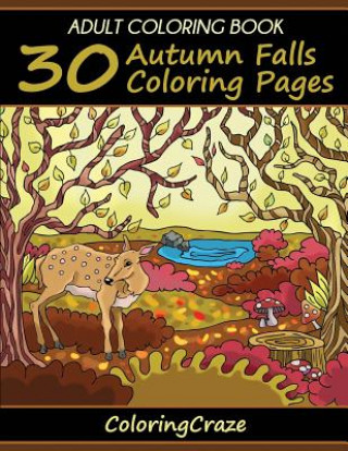 Książka Adult Coloring Book Coloringcraze