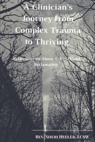 Kniha A Clinician's Journey from Complex Trauma to Thriving: Reflections on Abuse, C-Ptsd and Reclamation Lcsw Rev Sheri Heller