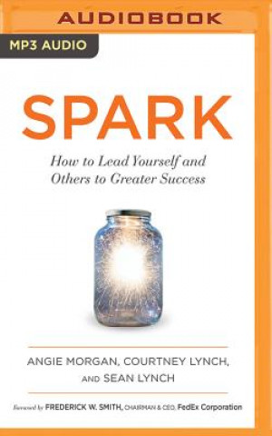Digital Spark: How to Lead Yourself and Others to Greater Success Angie Morgan