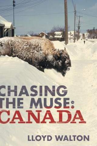 Livro Chasing the Muse Lloyd Walton