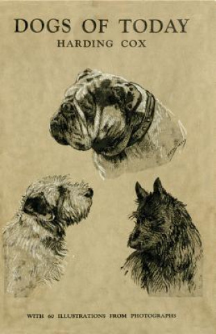 Carte Dogs of Today Harding Cox