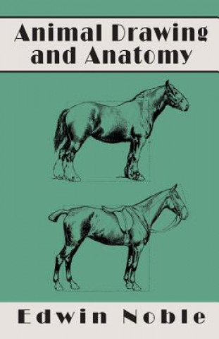 Kniha Animal Drawing and Anatomy Edwin Noble