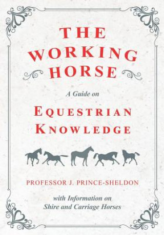 Kniha The Working Horse - A Guide on Equestrian Knowledge with Information on Shire and Carriage Horses Various.