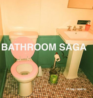 Buch Bathroom Saga Emily Nemeth