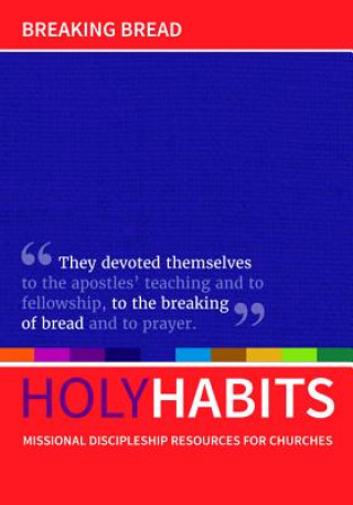 Kniha Holy Habits Andrew Roberts