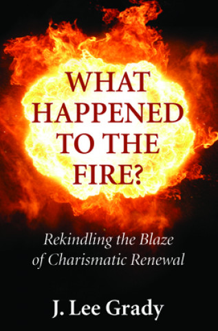 Carte What Happened to the Fire? J. Lee Grady