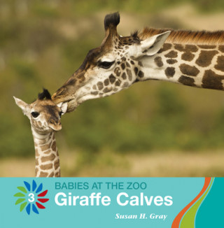 Livro Giraffe Calves Susan H. Gray