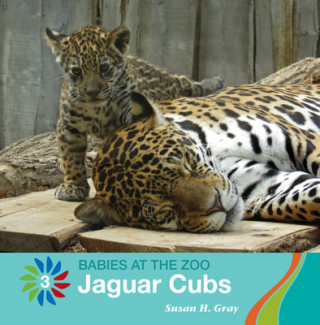 Knjiga Jaguar Cubs Susan H. Gray