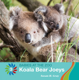 Livro Koala Bear Joeys Susan H. Gray