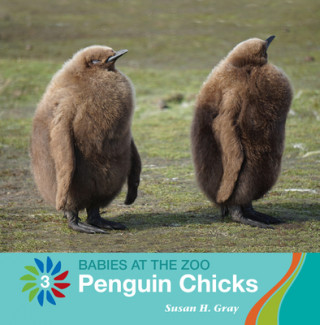 Book Penguin Chicks Susan H. Gray