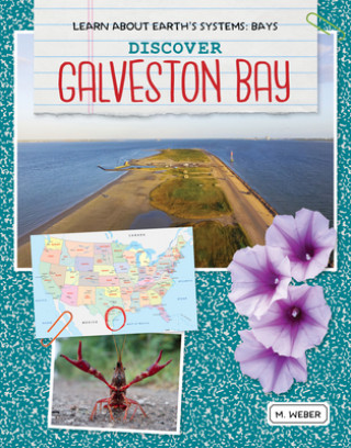 Książka Discover Galveston Bay M. Weber