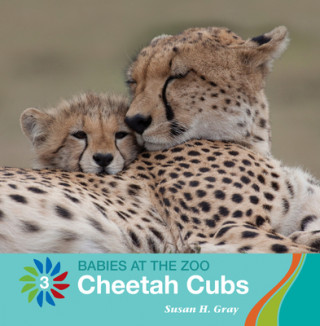 Kniha Cheetah Cubs Susan H. Gray