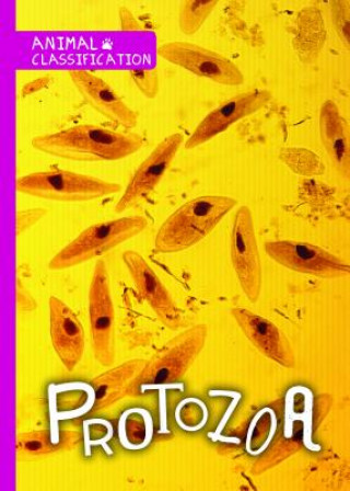 Knjiga Protozoa Joanna Brundle