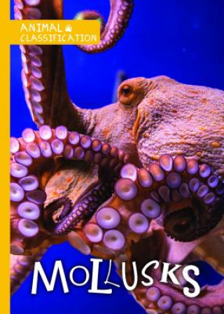Buch Mollusks Madeline Tyler