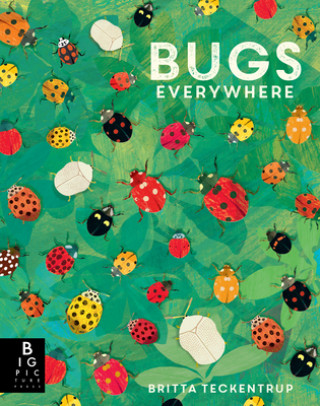 Knjiga Bugs Everywhere Lily Murray