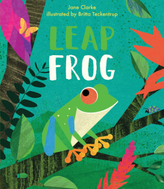 Book Leap Frog Jane Clarke
