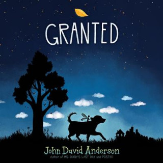 Audio Granted John David Anderson