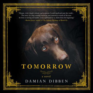 Audio Tomorrow Damian Dibben