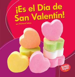 Buch ?Es El Día de San Valentín! (It's Valentine's Day!) Richard Sebra