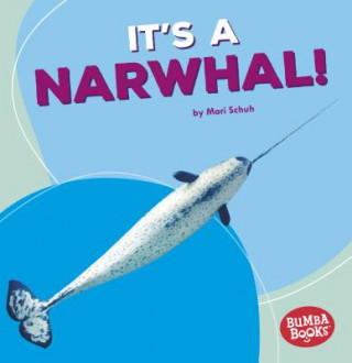 Kniha It's a Narwhal! Mari C. Schuh