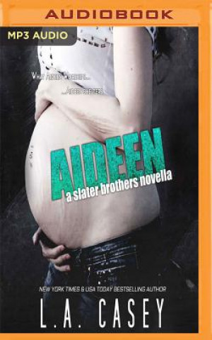 Digital Aideen: A Slater Brothers Novella L. A. Casey