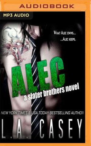 Digital Alec: A Slater Brothers Novel L. A. Casey