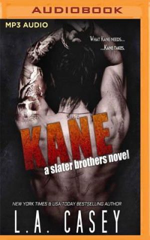 Digital Kane: A Slater Brothers Novel L. A. Casey