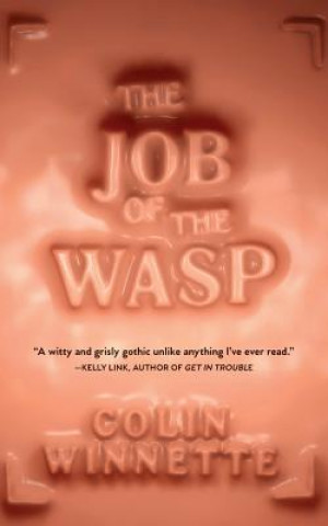 Audio The Job of the Wasp Colin Winnette