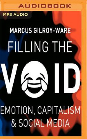 Digital Filling the Void Marcus Gilroy-Ware