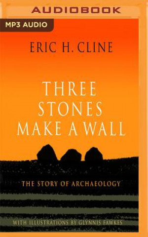 Digital Three Stones Make a Wall: The Story of Archaeology Eric H. Cline