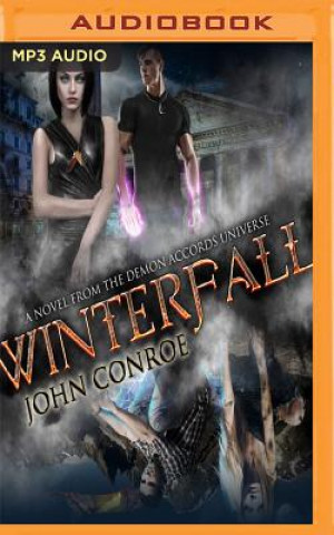Digital Winterfall John Conroe