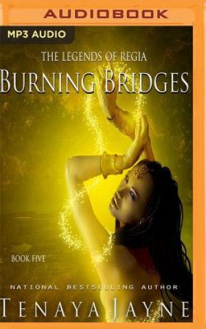 Digital Burning Bridges Tenaya Jayne