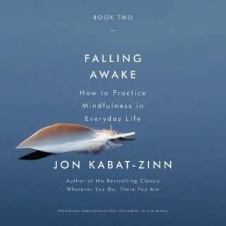 Audio Falling Awake: How to Practice Mindfulness in Everyday Life Jon Kabat-Zinn