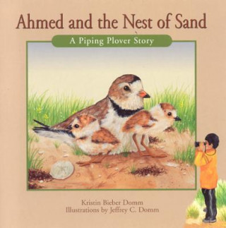 Knjiga Ahmed and the Nest of Sand Kristin Domm