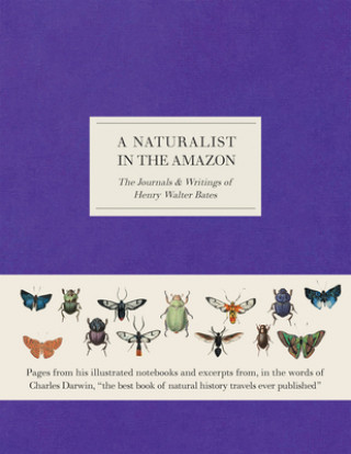 Kniha A Naturalist in the Amazon: The Journals & Writings of Henry Walter Bates Henry Walter Bates