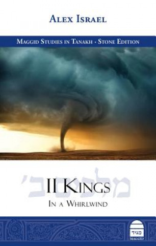 Kniha II Kings: In a Whirlwind Alex Israel