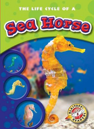 Könyv The Life Cycle of a Sea Horse Colleen Sexton