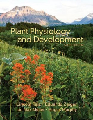 Kniha Plant Physiology & Development Lincoln Taiz