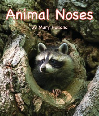 Kniha Animal Noses Mary Holland