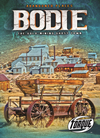 Kniha Bodie: The Gold-Mining Ghost Town Kari Schuetz